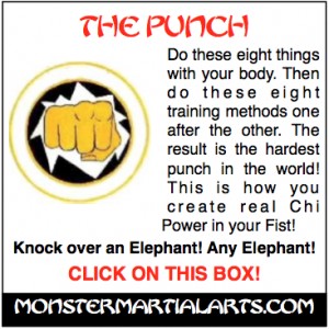 hardest punch